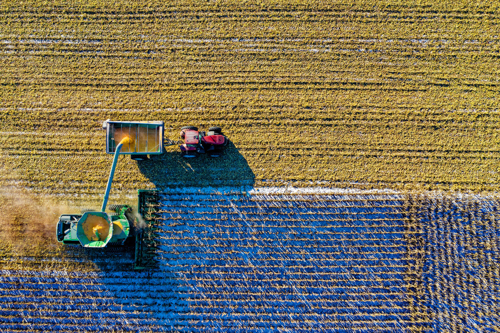Food Fascists: GMO and Pesticide Manufacturers Down and Dirty