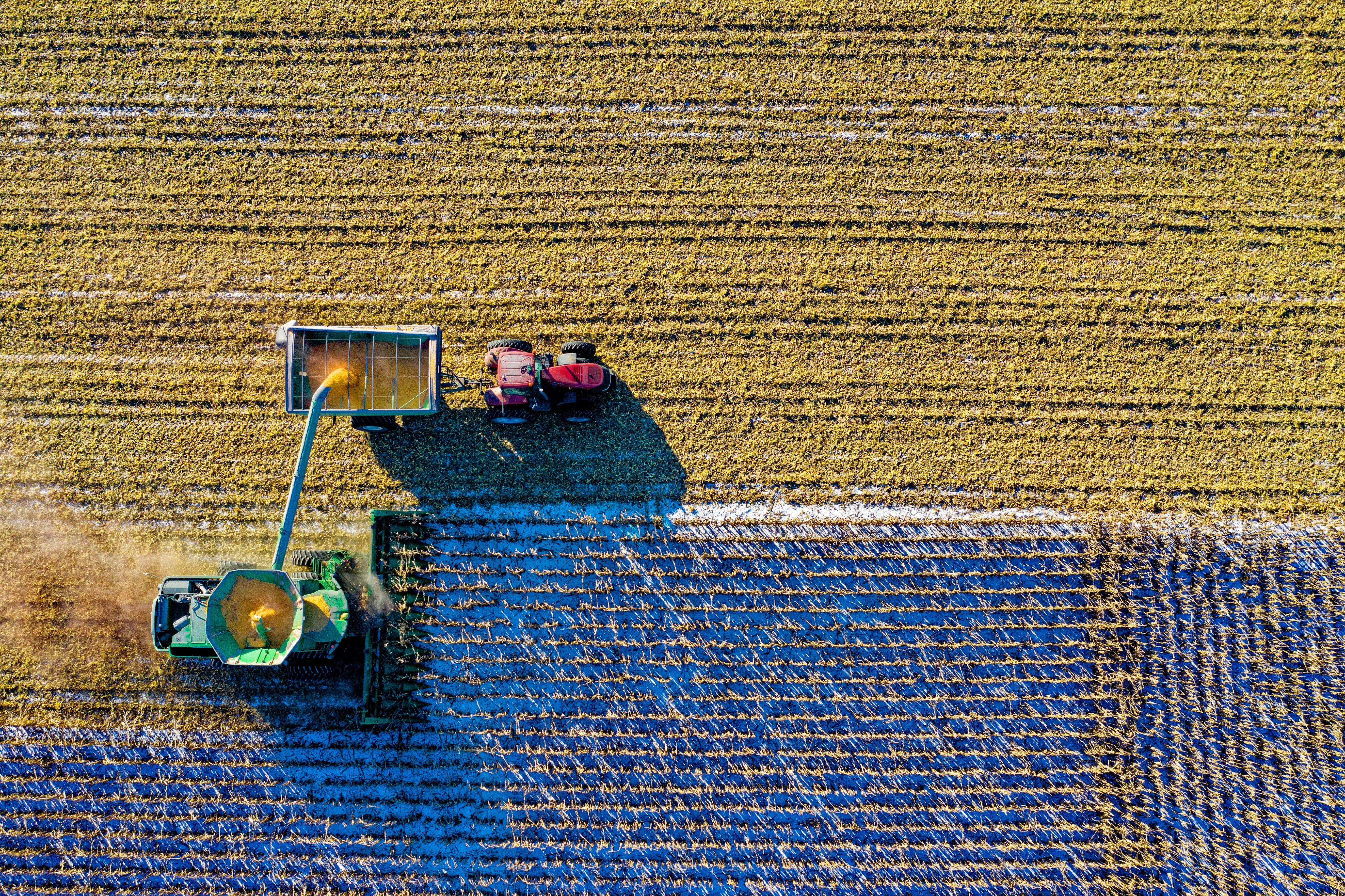 Food Fascists: GMO and Pesticide Manufacturers Down and Dirty