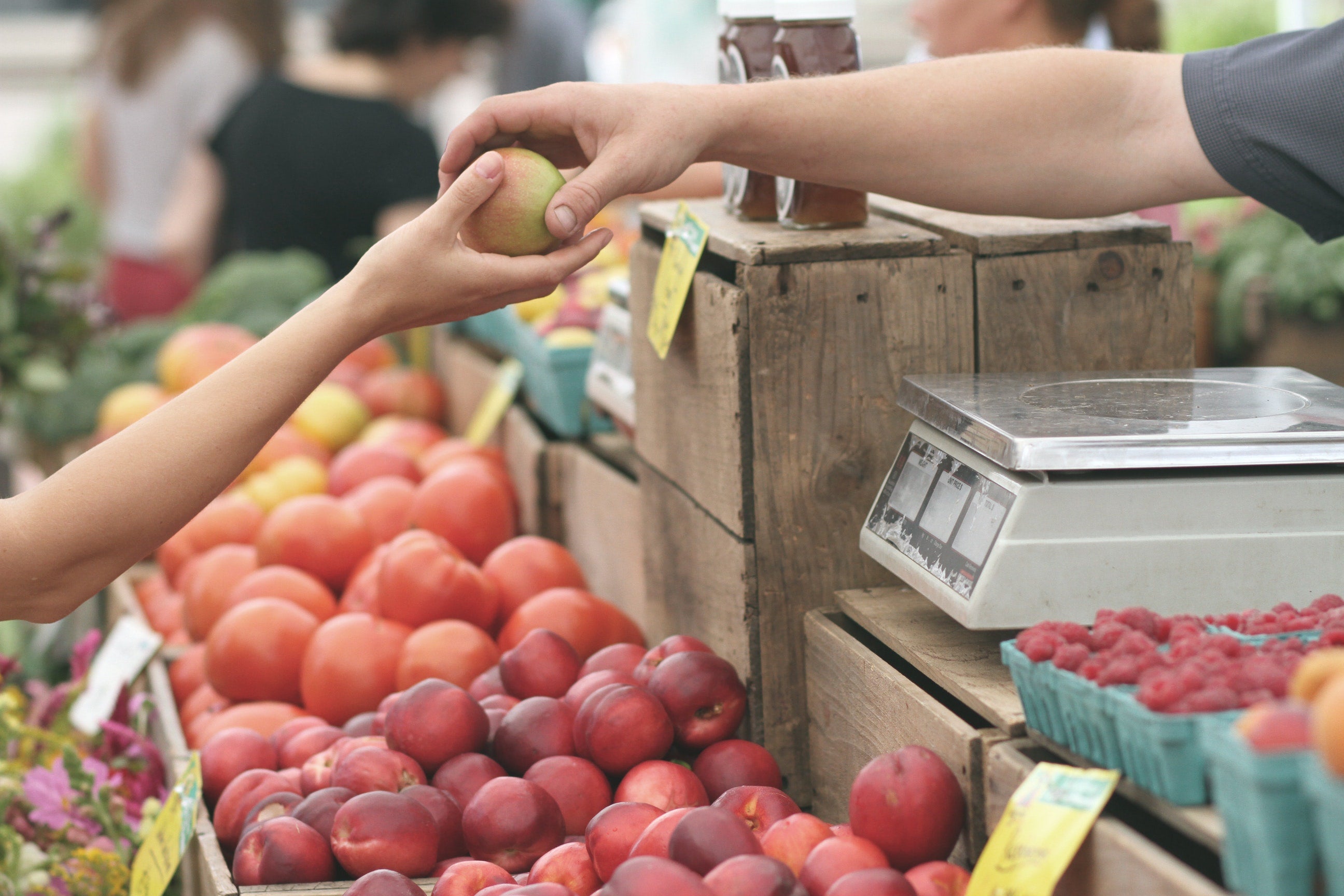 Nutrition Care Manual for What to Eat