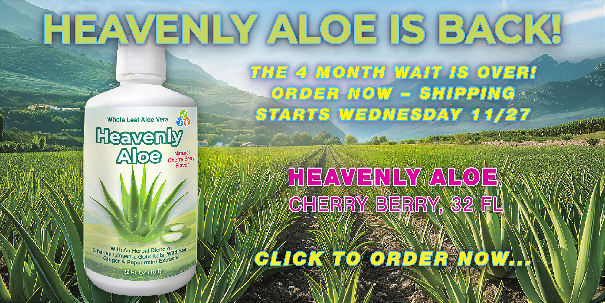 Heavenly Aloe Cherry Berry, 32 fl oz