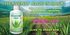 Heavenly Aloe Cherry Berry, 32 fl oz