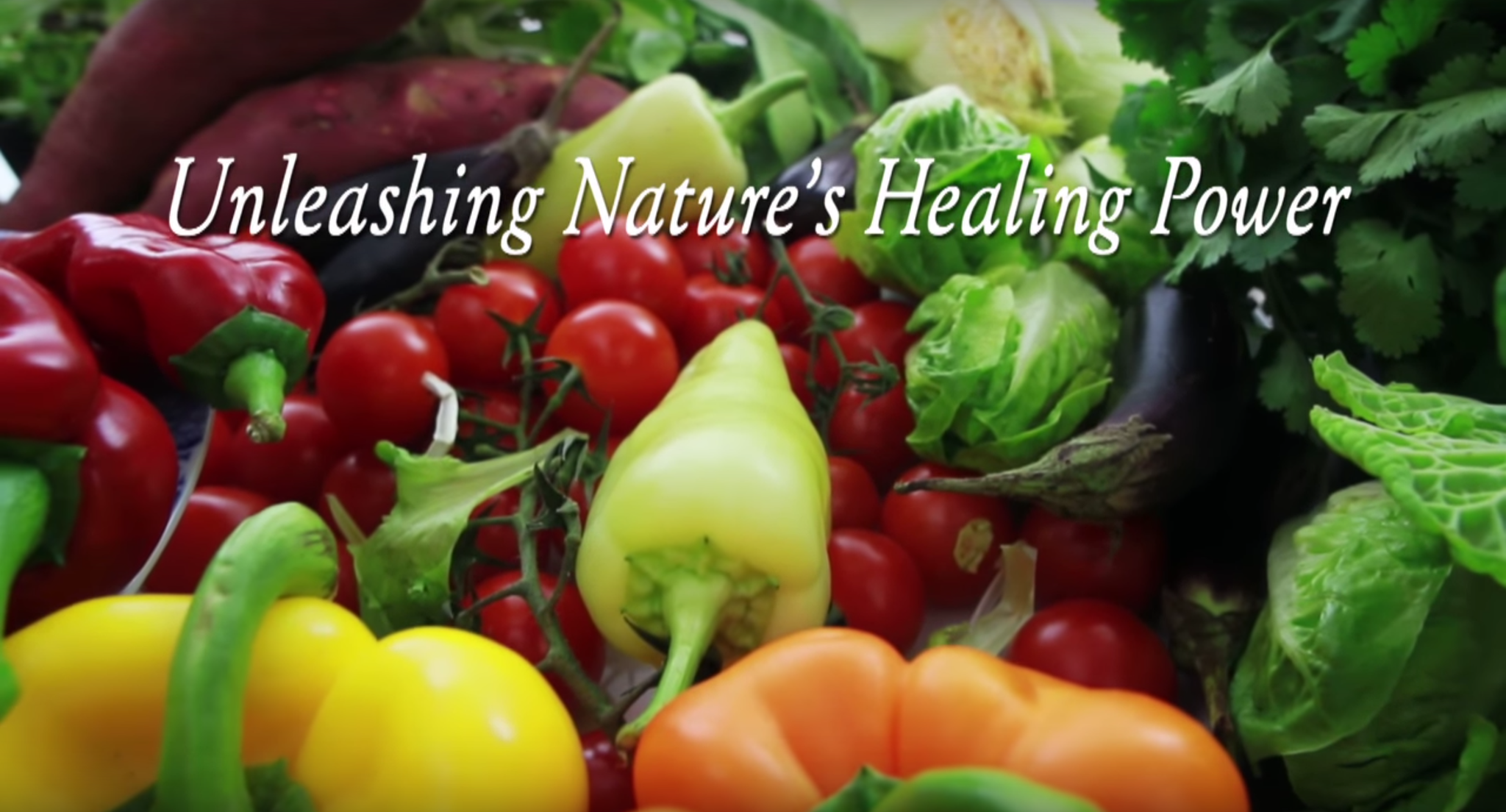 Plant Codes: Unleashing Nature's Healing Power DVD